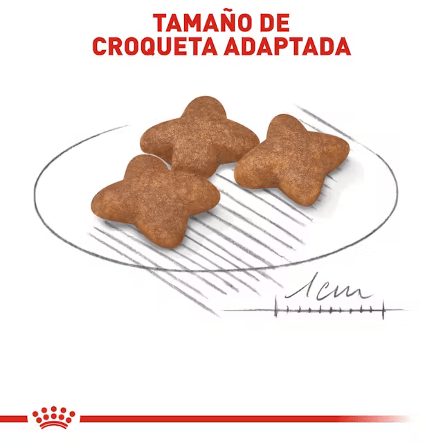 Royal Canin Adulto Raza Pequeña Royal Canin Adulto Raza Pequeña